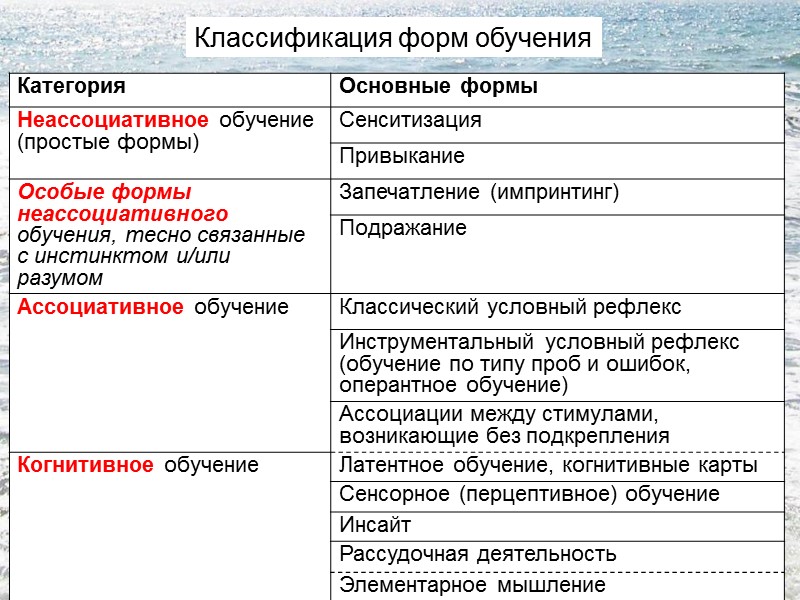 Классификация форм обучения